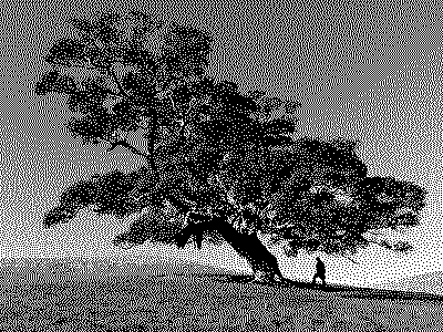 Silhouette of a person standing by a tree on a hill